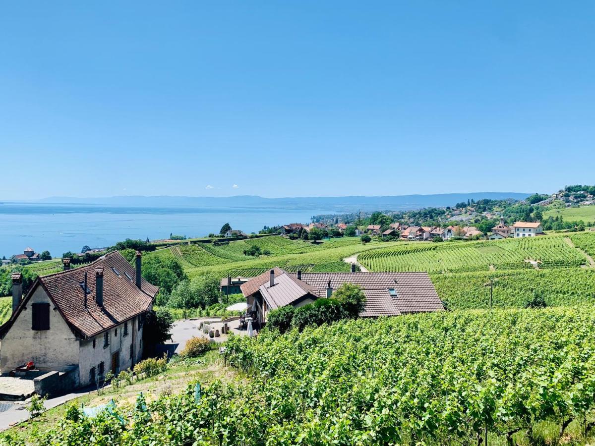 #Lavaux Hotel Lutry Exterior foto